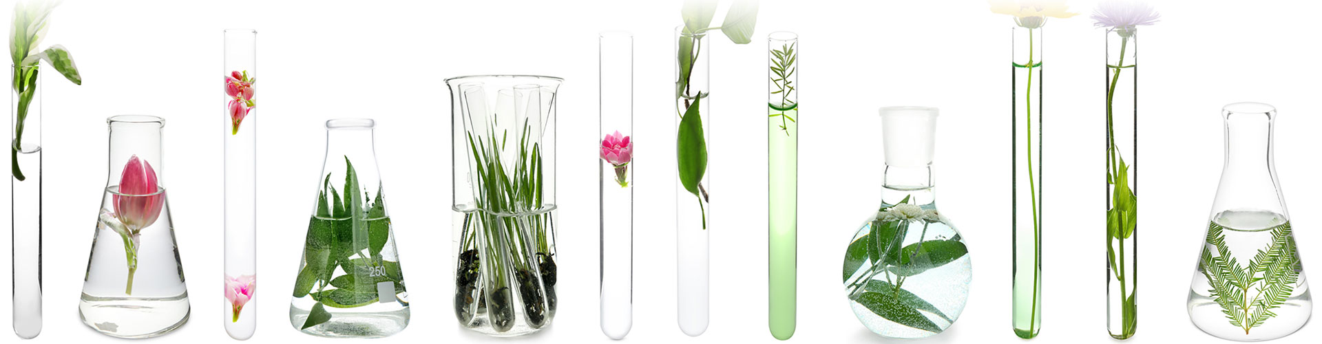 eventagentur_header